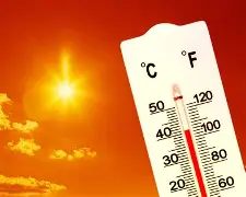 热传：李娜CBA常规赛综述(郭昊文个人资料cba)|hb电子官网入口